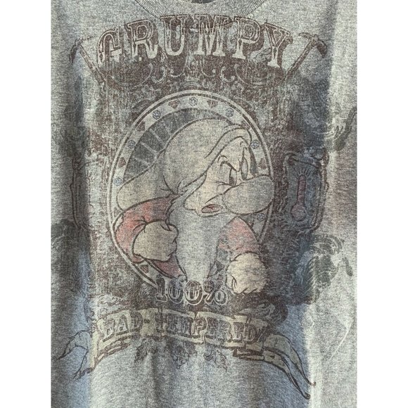 Disneyland Resort by Haynes Grumpy T shirt sz M - Picture 2 of 5